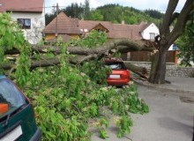 Kwikfynd Tree Cutting Services
leonay