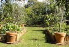 Leonayvegetable-gardens-3.jpg; ?>