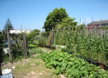 Kwikfynd Vegetable Gardens
leonay